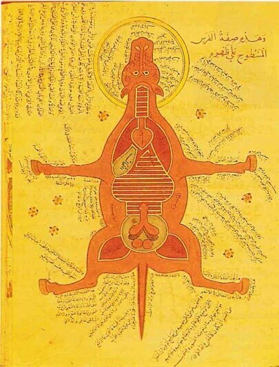 İslam Uygarlığı Veteriner Hekimlik Tarihi