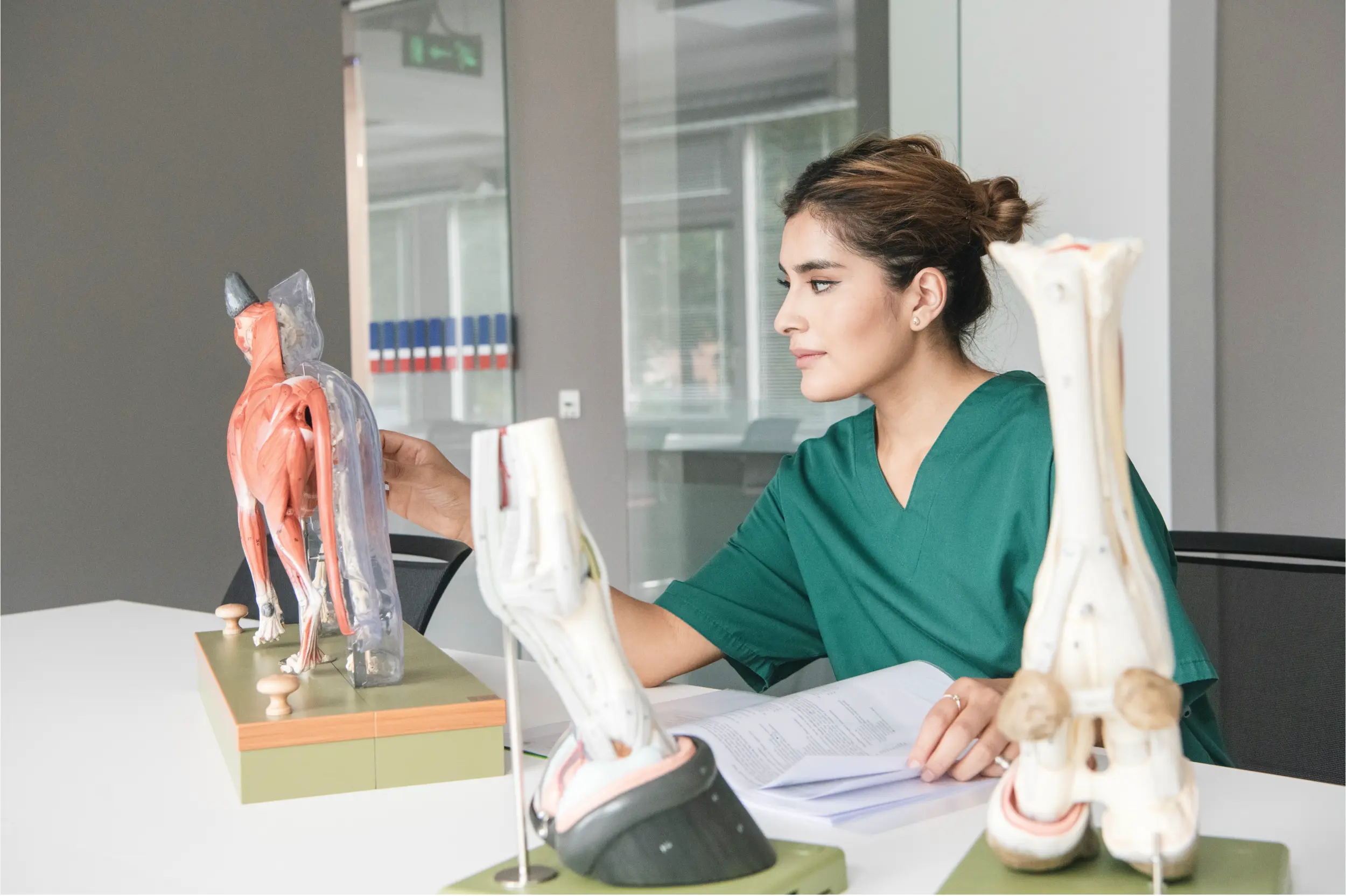 Veteriner Fakültesi Veteriner Hekimlik Eğitimi