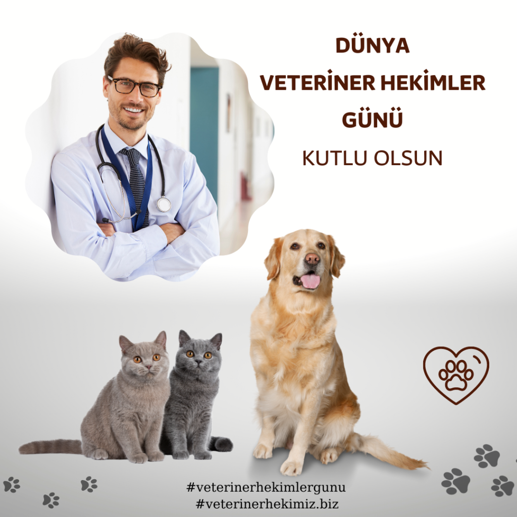 veteriner hekimler gunu veterinary day