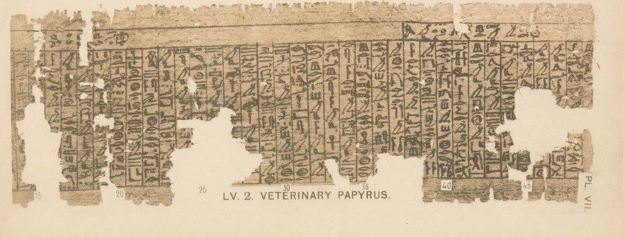 Kahun Papirüsü