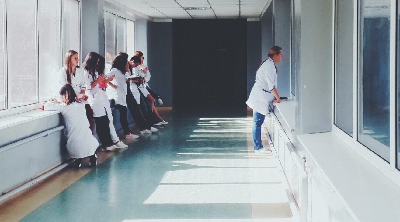 Veteriner Hekimlik Eğitimi