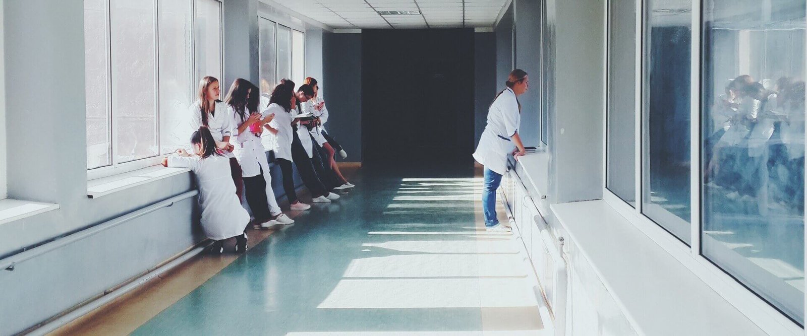 Staj Veteriner Hekimi Eğitimi