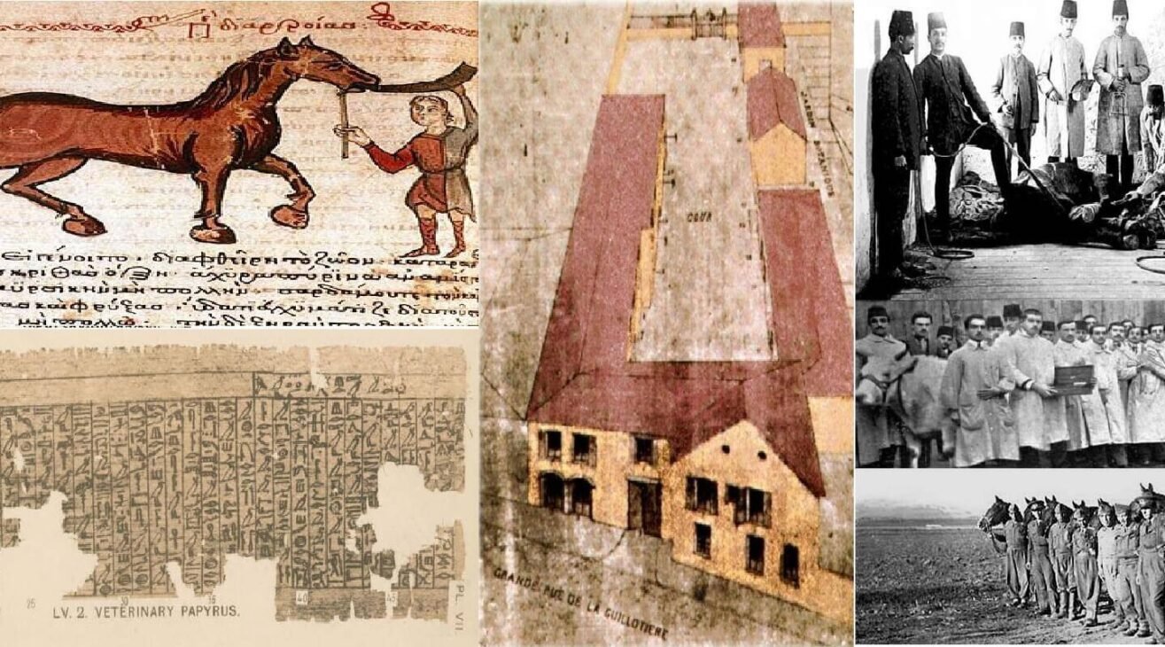 Veteriner Hekimlik Tarihi
