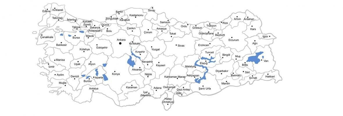 Türkiye’deki Veteriner Klinikleri, Muayenehaneleri